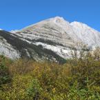 Trail to Petain Falls /    